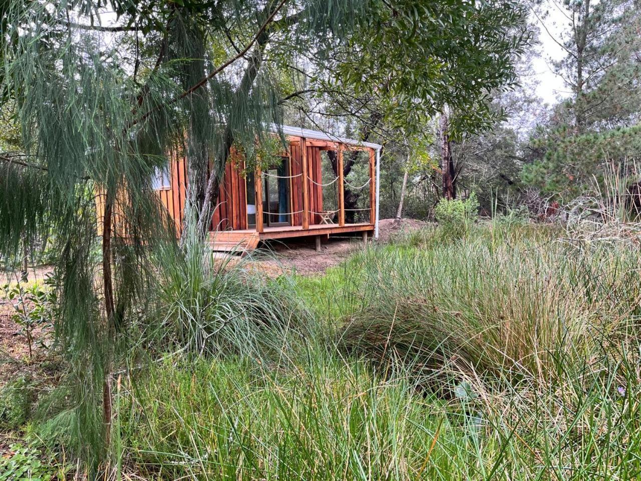 Forest Gate Resort Плетенбърг Бей Екстериор снимка