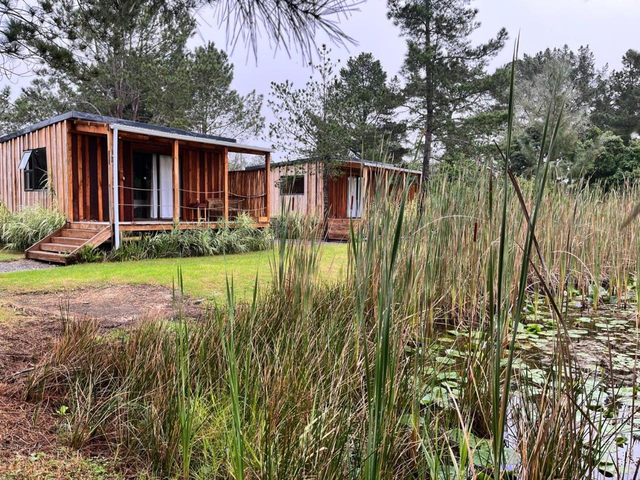 Forest Gate Resort Плетенбърг Бей Екстериор снимка