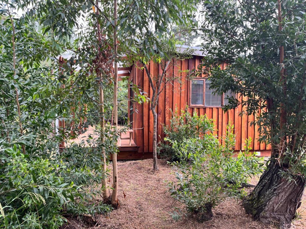 Forest Gate Resort Плетенбърг Бей Екстериор снимка