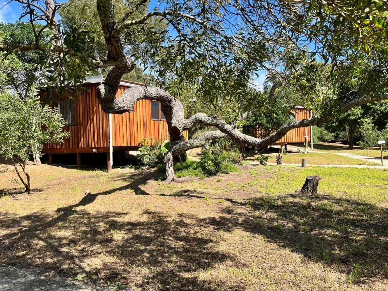 Forest Gate Resort Плетенбърг Бей Екстериор снимка