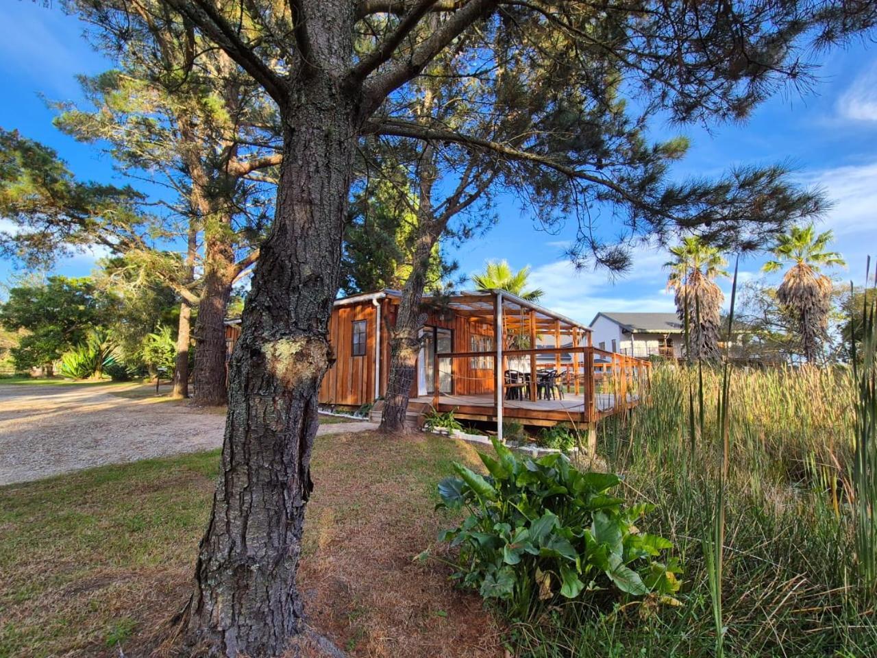 Forest Gate Resort Плетенбърг Бей Екстериор снимка