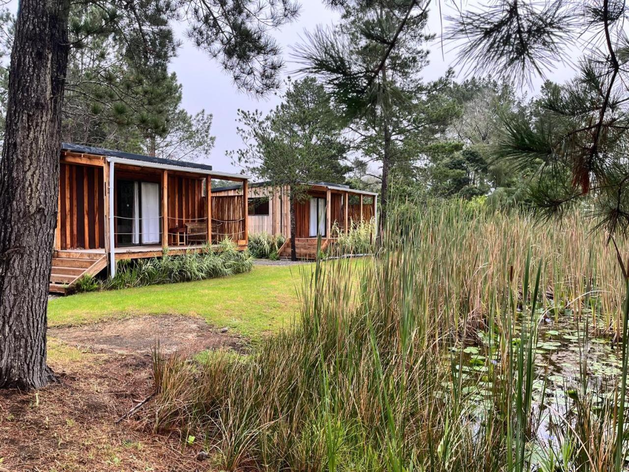Forest Gate Resort Плетенбърг Бей Екстериор снимка
